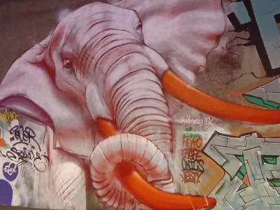 Elephant with Orange Tusks — Street art in Paris