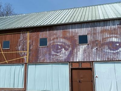The gaze of Jacques-Noël Sané on the quayside hangar — Street art by Persu, Wide in Paimbœuf