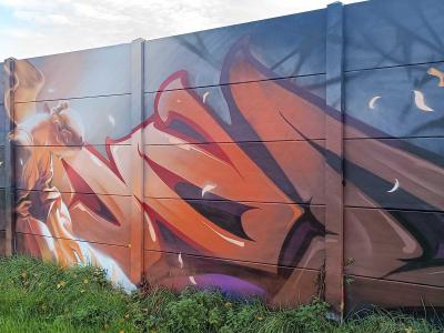 Phénix flamboyant rennais — Street art à Rennes