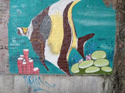 Poisson rayé du récif — Street art à Lille