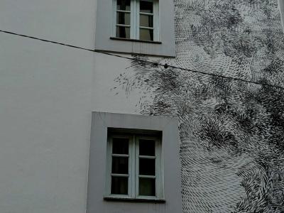 Végétation en encre sur façade — Street art à Porto