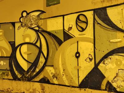Oiseaux et formes nocturnes par Hazul — Street art de Hazul à Porto