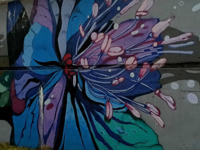 Fleur bleue en gros plan — Street art à Prague