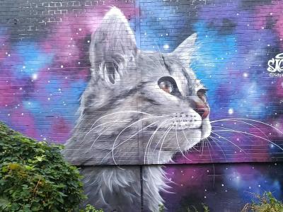 Hyperrealistic Cosmic Cat, Berlin — Street art by Sagie in Berlin