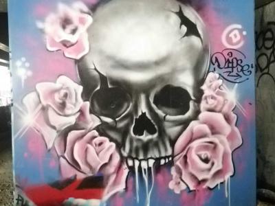 Crâne et Roses Gothique — Street art à Paris