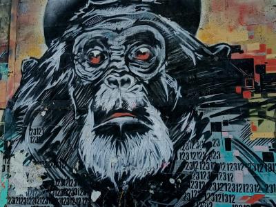 Chimpanzee Portrait with Beret — Street art in Saint-Nicolas-de-Redon