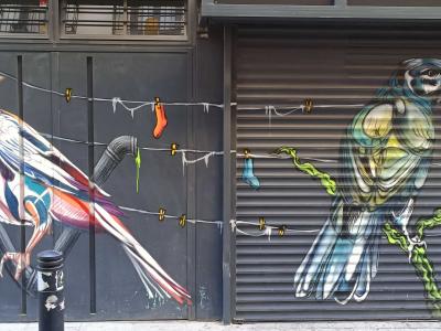 Deux oiseaux colorés sur rideaux de fer — Street art de Kike AR García à Madrid