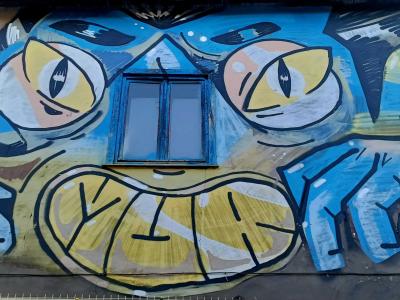 Facade transformee en visage geant — Street art à Rīga