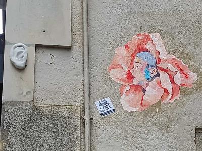 Fleur-visage et oreille en relief — Street art à Nantes
