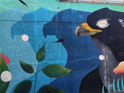 Deux rapaces en face à face — Street art à Madrid