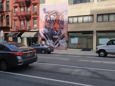 Realistic Tiger Head Colored Graffiti — Street art in New York