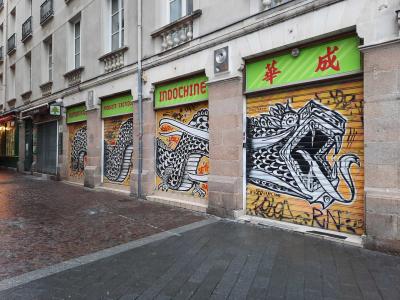 Dragons on Indochine Shop Shutters — Street art in Nantes