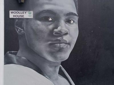 Portrait Woolley House — Street art à London