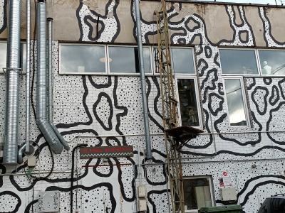 Façade au motif de camouflage — Street art à Vilnius
