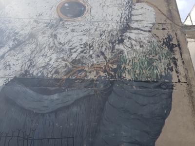 Giant Wolf with Golden Eyes in Mexico City — Street art in Mexico City