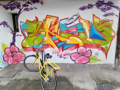 38è Parallèle Wildstyle — Street art in Grenoble
