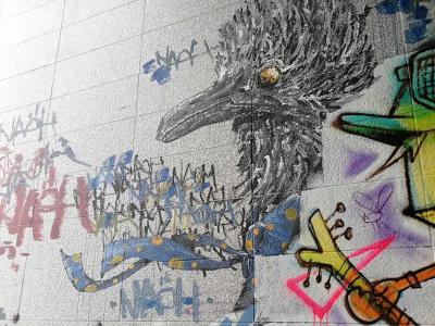 Illustrated Crow with Blue Plumage — Street art in Paris
