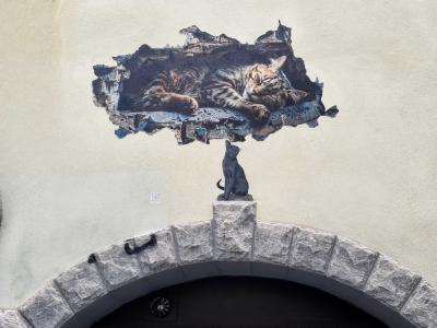 Sleeping Cat Trompe-l'oeil Above an Arch — Street art in Clermont-Ferrand