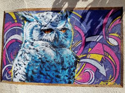 Le hibou bleu — Street art à Clermont-Ferrand