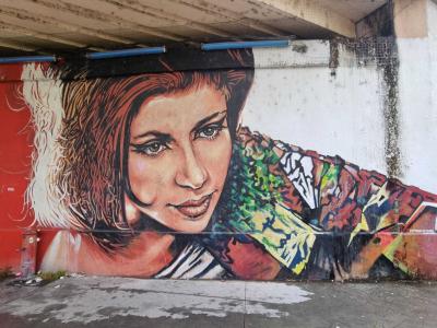 Long-haired Woman — Street art by Nessé in Grenoble