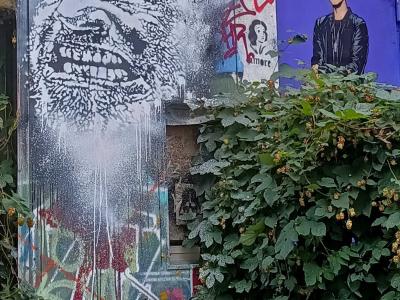 Portrait d'Eminem et troll face, Berlin — Street art à Berlin