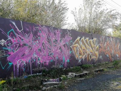 Wild-style Gold and Pink — Street art in Nantes