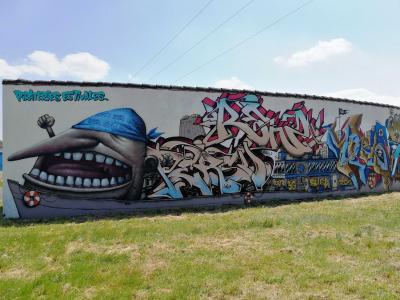 Ador Pirate Shark Bouguenais — Street art by Ador in Bouguenais