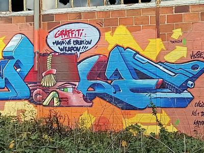 Graffiti: Massive Creation Weapon — Street art in Rennes