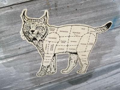 Butcher lynx, humorous subversion — Street art in Paris