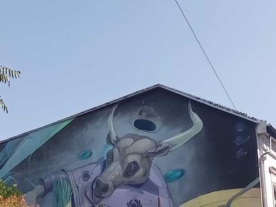 Taureau Cosmique Folk, Vue d'Ensemble — Street art à Budapest