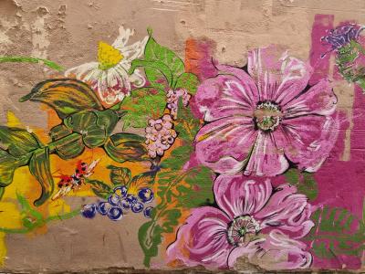 Composition florale colorée sur mur — Street art à Clermont-Ferrand