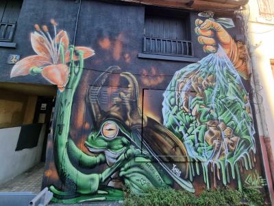 Frog and Flower with Piercing Gaze — Street art in Clermont-Ferrand