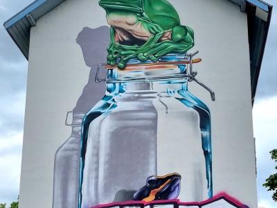 Grenouille en bocal — Street art de Etien à Grenoble