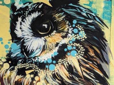 Textured Colorful Owl — Street art in Soyons