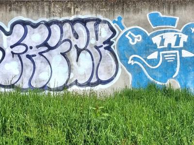 Graffiti wildstyle tag SEM éléphant — Street art à Clermont-Ferrand