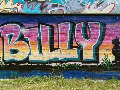 Billy coucher de soleil chat — Street art à London