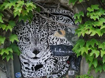 Leopard by Rzeka — Street art by Rzeka in Nantes