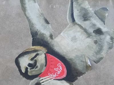 Paresseux au bandana rouge — Street art à Nantes