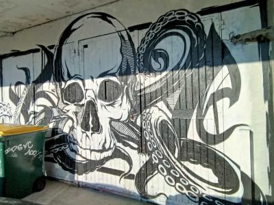 Le crâne pris dans les tentacules — Street art à Bourges