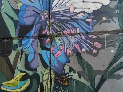 Fleur bleue et oiseau tropical — Street art à Prague