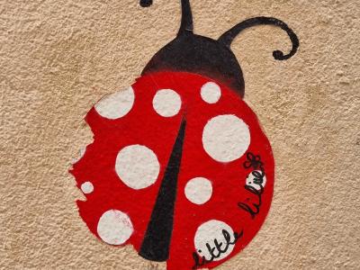 Red Ladybug, little birdie — Street art in Clermont-Ferrand