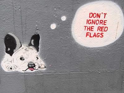White Dog - Graphic Warning — Street art in Dublin