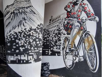 Vintage Woman on Bike — Street art in Grenoble