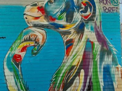 Multicoloured Monkey by ASR — Street art by ASR in Madrid