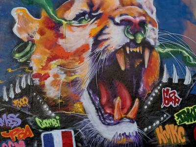 Tête de tigre rugissante avec drapeau français — Street art à Nantes