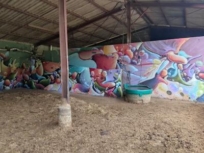 Neur ABF — Street art in Fanlac