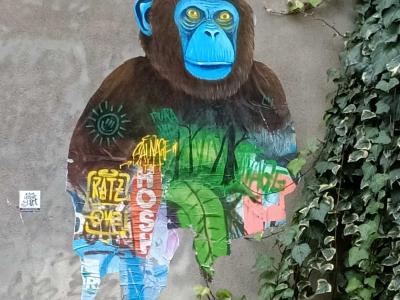 Blue-Faced Chimpanzee over Graffiti Tags — Street art in Nantes