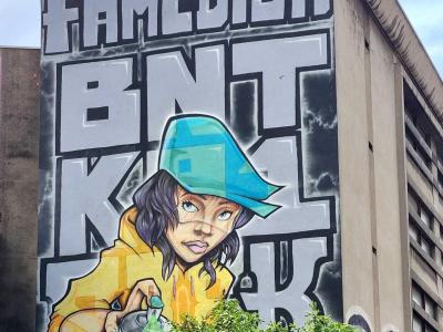 Famedish — Street art in Grenoble