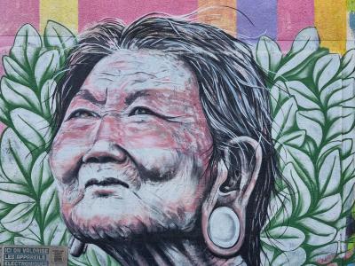 Portrait of an Elder Surrounded by Leaves — Street art by Dinho Bento in Clermont-Ferrand