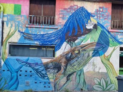 Ara coloré sur une branche — Street art à Clermont-Ferrand